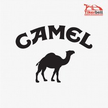 캠핑 카라반꾸미기 Camel 데칼스티커 차량용스티커 레이튜닝용품 차량스티커 차스티커, 1개, 옐로우 중형
