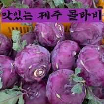 (최상품 특가) 구씨아줌마 아삭달달 햇 제주 콜라비 특품 3kg 5kg 10kg, 콜라비 3kg, 1개