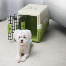 심플펫 이동장 브라운-강아지 애견 이동가방 캐리어, 스피드컴119고양일산지점 본상품선택