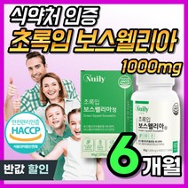 흡수율 좋은 보스웰리아 유향 인도산 보스웰릭산 AKBA KBA 초록입홍합 초록잎 우슬 치커리 HACCP 식약처 인증 식약청 인정 보스벨리아 보슬웰리아 보스웰니아 BOSWELLIA, 6개, 60정