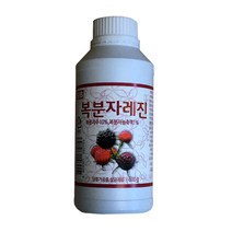 선인 복분자레진, 600g, 1개