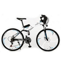 3륜전기자전거 전기 접이식 자전거 Iithium 배터리 Ebike 알루미늄 강력한 Aldult MTB, Six blade wheels C+36V12AH