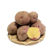 GAP인증 속노란 하동 자색유황감자 (대) 1.8kg 외 / 홍감자 2022년 가을수확 햇감자, 1박스, (대) 2.7kg