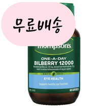 홍박스 톰슨 빌베리 눈영양제 루테인효능 12000mg 구매대행, 1개
