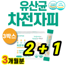 식약처인증 차전자피 차전차피 차천자피 프로바이오틱스 프로바이오스틱 장 건강 관리 식이섬유 락토바실러스 가세리 카제이 루테리 플란타룸 비피덤 화장실 헬베티쿠스 불가리쿠스 대장 기능, 3개, 6gX30포