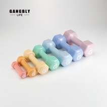 강블리 G시리즈 덤벨 0.5kg~6kg세트 ( 2개입 세트구성 / 팬톤 컬러 ), 0.5kg세트 (2개입)