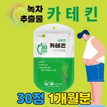 녹차 추출물 카테킨 다이어트 영양제 콜레스테롤 개선 기능성 단기간 보조제 지방 컷팅제 허리살 빼기 추천 3일 일주일 7일 10일 다이어트 단기 살빨리 빼는 법 방법 체지방 감소