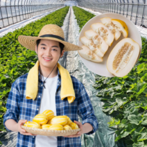 먹사부 산지직송 성주 참외 가정용 2kg 3kg 4kg 5kg 고급 정품 못난이 소과 중과 대과 꼬마 미니 박스포장 고당도, D.정품5kg-대과(7~13과)