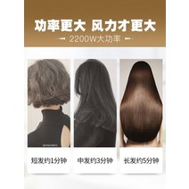 드라이기 기계 대출력 미용실 전용 헤어디자이너, T02-화이트+바람받이, 선택하세요