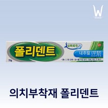 폴리덴트 의치부착재 내추럴 무향 70g, 2개