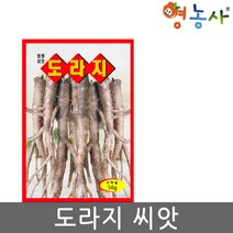 도라지씨앗 50g, 도라지씨앗(50g), 1개