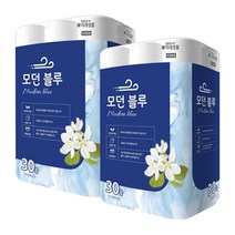 미래생활 모던블루 3겹 25m 30롤 화장지 X2, 2개