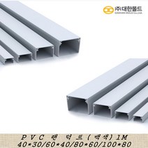 대한몰드 국산몰드 PVC 랜덕트 전선정리 배선정리 쫄대, 백색100*80 1M, 1개