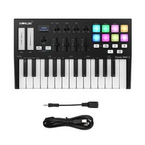 비트메이커 런치 노베이션 패드 worlde panda mini 25키 usb midi 키보드 컨트롤러 usb midi 컨트롤러 키보드 피아노 앰프 8 RGB 백라이트 트리거, 유형 5