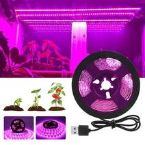 식물LED등 식물 LED 재배 다육이 생장램프 전체 스펙트럼 led 성장 빛 usb led 스트립 0.5m 1m 1.5m 2m 3m 2835 smd led 램프 온실 수경 성장, 50cm, 방수가 되지 않는 ip20