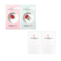 투영디자인 카네이션 사랑브로치 2종 + 카드 랜덤 발송, 혼합 색상, 4세트