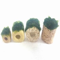 모스볼활착 링여과제 초보음성수초키우기, 3번 1.8 x 1.8 미니터널