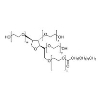 Bioworld - 42030016-1 바이오월드 트윈 20 (폴리소르베이트 20) 500 밀리리터, 한개옵션0