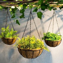 벽에 거는 행잉 매다는 바구니 걸이용 화분 벽걸이, 3-코코넛행잉화분40CM