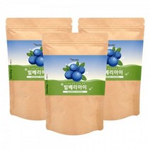 에너데이 빌베리농축분말 빌베리아이150gx3개, 3개, 150g