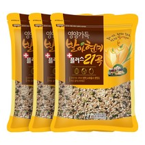 현대농산 발아현미 21곡 1.8kg (600gx3봉), 1개