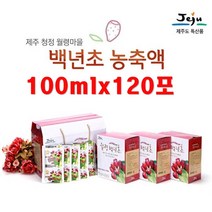 백년초열매 효능 선인장열매 백년초즙 제주 선인장 손바닥 가루 천년초 효소 신선한 제주도 특산물 건강에좋은음식, 120포