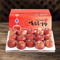 (산지직송) 밀양 얼음골사과 고당도 부사 5kg 10kg, 1box, 5kg 18과