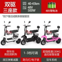 세발 어르신 삼륜 노인 3륜 바이크 오토바이 전기 전동 스쿠터, 48V, 48V 듀얼 드라이브: 리튬 배터리 / 3인승