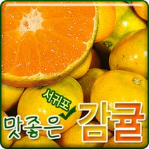 서귀포농원 23년 첫수확 고당도 비가림 하우스 감귤 5kg 10kg, 1개, 고당도 비가림 하우스 감귤 5kg대과(L~2L)