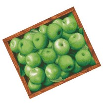 MJS 보석십자수 캔버스형 50 x 40 cm DIY 세트 BSX40, 행운청사과
