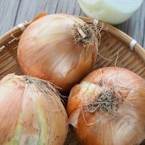 [초록이네] 무안양파 백양파 햇양파 조생양파 노지 양파, 백양파 10kg, 1개