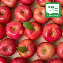 경북 의성 저탄소인증 홍로 부사 사과 정품, 1박스, 당도선별 사과 2kg 꼬마사과