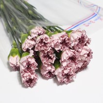 마리포사 콜롬비아 카네이션 1단 20송이 생화택배 (고속터미널꽃시장 직배송) 꽃예꽃, 다른색 카네이션으로 변경, 월요일 구매시 (수~목요일 도착)