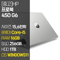 HP ProBook 450 G6 15.6인치 인텔 8세대 Core-i5 RAM 16GB M.2 SSD + HDD 1TB 윈도우11설치 사무용 중고노트북, WIN11 Pro, 1256GB, 코어i5, 실버