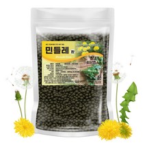 민들레환 국내산 300g (실속형), 1개