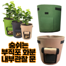 블루베리화분 부직포화분 가정용 텃밭 화분 감자 토마토 친환경 대형 그로우백, 베이지