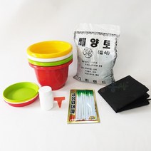 대파키우기 7종, 단품