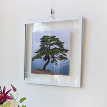 [바보사랑] 투명액자38CmX38Cm_건강과성공의소나무[꾸밈], 블랙