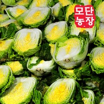 [모단농장]괴산절임배추 20kg/배추작황풍년(6~9포기), 12월 27일발송-28일도착