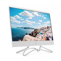 HP 일체형 PC 22-c0134kr (i3-9100T 54.6cm), 기본형