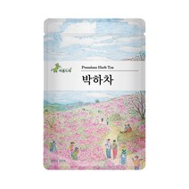 아름드레 친환경 삼각티백 허브차 25티백 50종, 박하차, 1.1g, 25개입