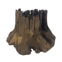 바보사랑 그루터기 유목 S (모양랜덤) .미미네아쿠아