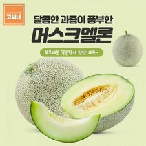 ForU512 멜론 국산메론 멜론종류 멜론과일 3kg 메론 양구 가격 곡성 세지 머스크, 상세페이지 참조