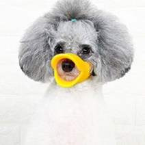 소형강아지 귀여운 입마개 사이즈체크 입질금지 포메 말티즈 치와와 시츄, 브라운 L
