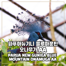 (커피생두) 58 파푸아뉴기니 블루마운틴 오나무가 AA 1kg