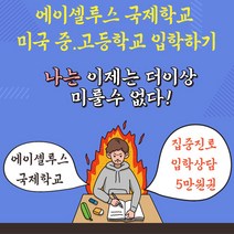 대안학교 에이셀루스국제학교 집중진로 입학상담 5만원권, 쿠팡 본상품선택