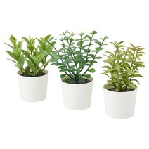 이케아 페이카 인조식물+화분 3종 실내외겸용 허브 5x11cm 화분지름5cm 폴리에틸렌