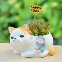 ROOGO 루고 화분 소녀와 동물친구들 고양이