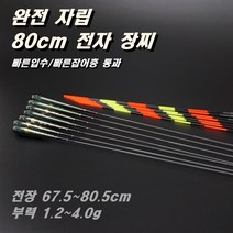 80cm 완전자립 전자 장찌 민물 전자찌 스마트찌 민물낚시찌 하우스 찌 중층 수제 고부력 저부력 내림 나노 올림찌 장찌, PQ10(68cm/1.5g)