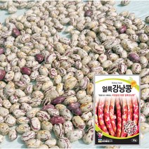 얼룩 강낭콩 씨앗 씨 종자 비넝쿨 30g